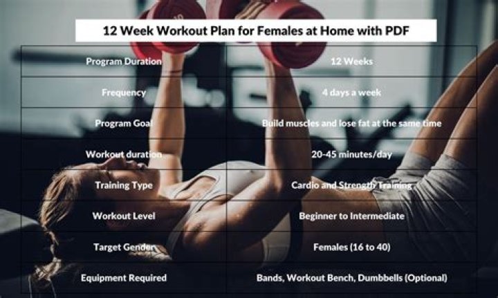 12-Week Muscle-Building Workout Plan PDF