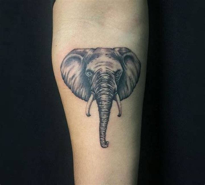 125+ Cool Elephant Tattoo Designs Deep Meaning and Symbolism