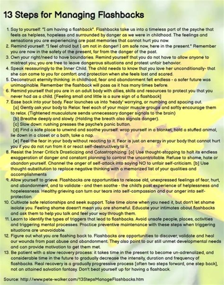 13 Steps to Manage Emotional Flashbacks: A PDF Guide