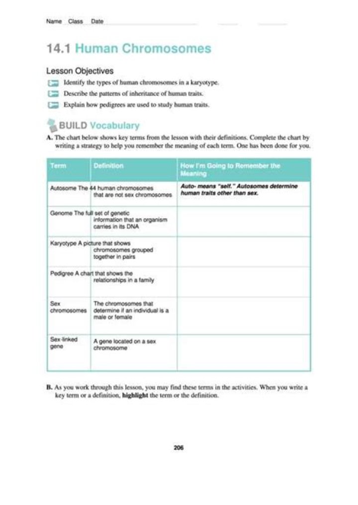 14.1 Human Chromosomes Answer Key PDF – Complete Study Guide