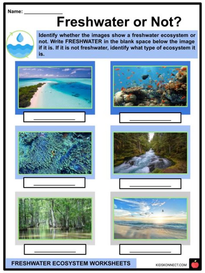 14.2 Uses of Freshwater Worksheet Answer Key PDF – Complete Guide