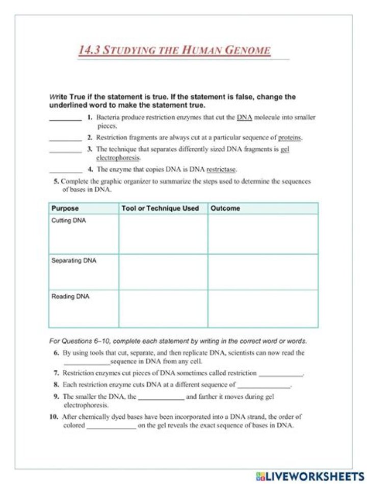 14.3 Mastering the Human Genome Answer Key PDF