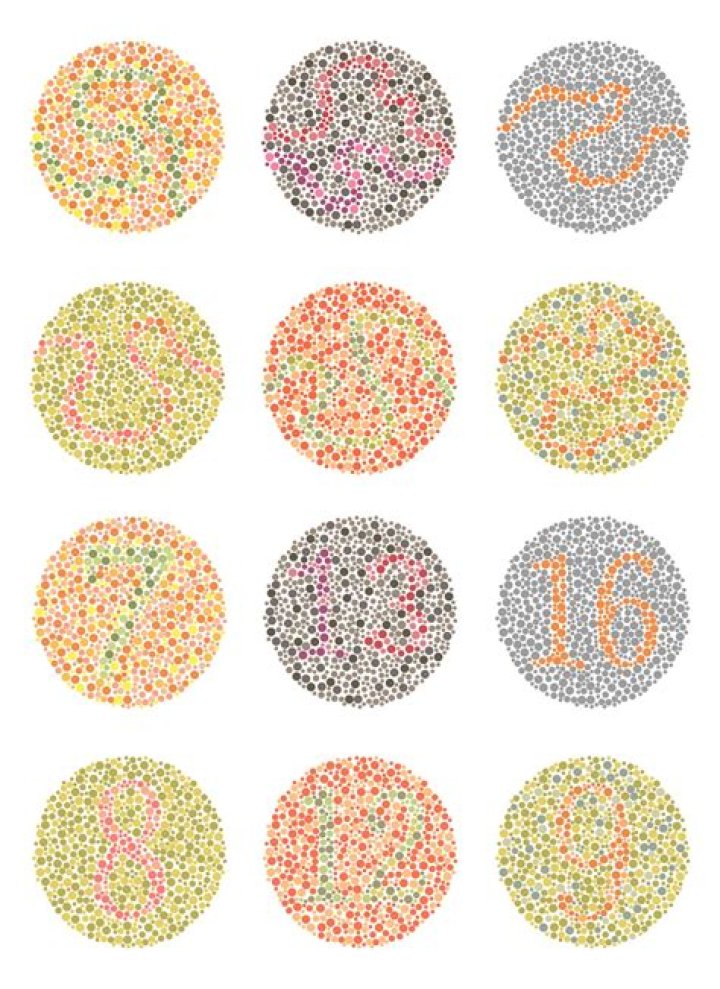 14-Plate Color Blind Test PDF - Accurate Vision Screening