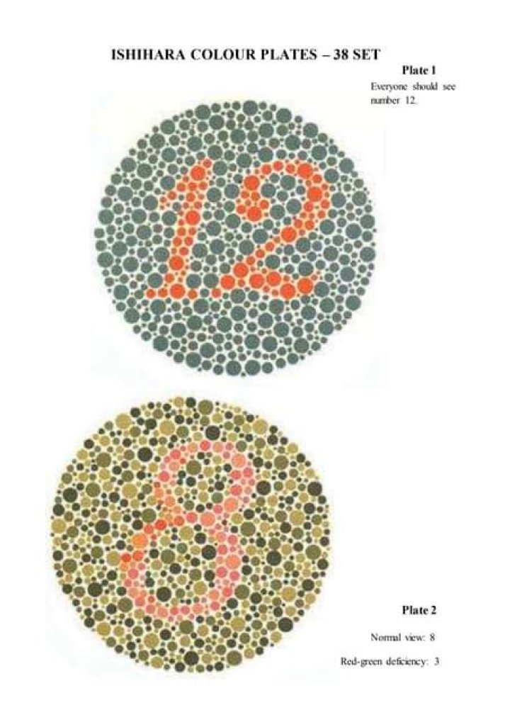 14 Plate Ishihara Test PDF – Identify Color Vision Deficiencies