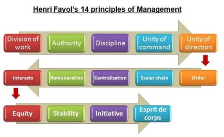 14 Principles of Management by Henri Fayol Explained with Real-World Examples PDF