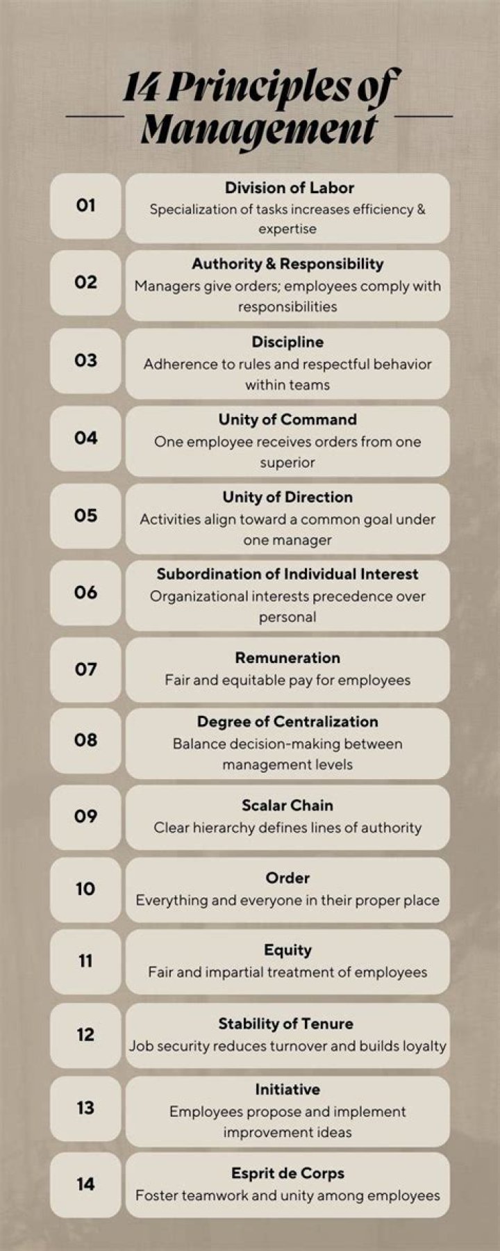 14 Principles of Management: Essential Images PDF for Leaders