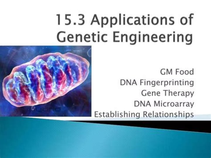 15.3 Key Applications of Genetic Engineering Answers in PDF Format
