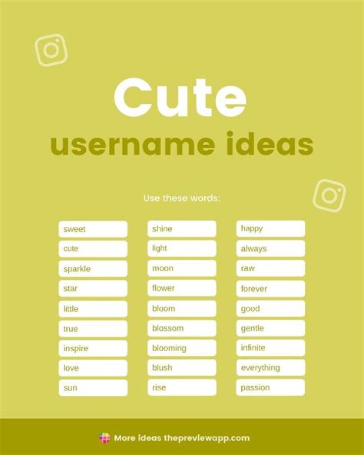 +150 Instagram Username Ideas (MustHave List 2021)