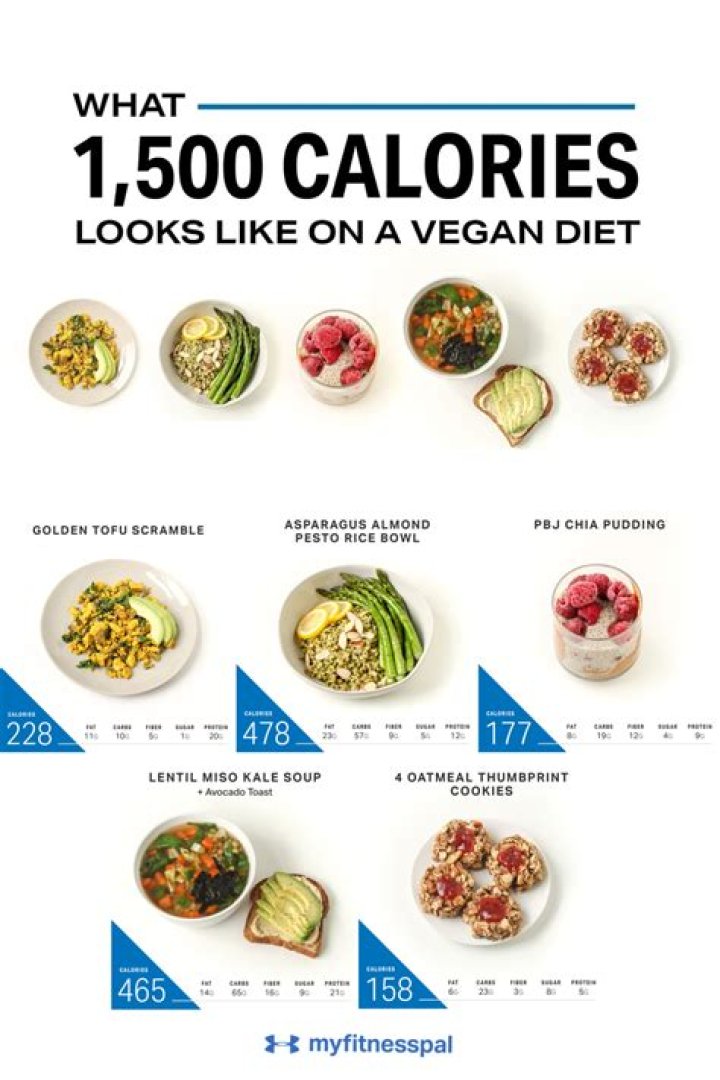 1500 Calorie Vegan Meal Plan PDF – Complete Meal Guide