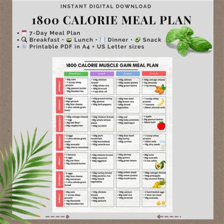 1800 Kcal Meal Plan PDF for Effective Weight Management