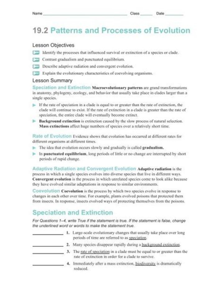 19.2 Key Patterns and Processes of Evolution Answer Key PDF