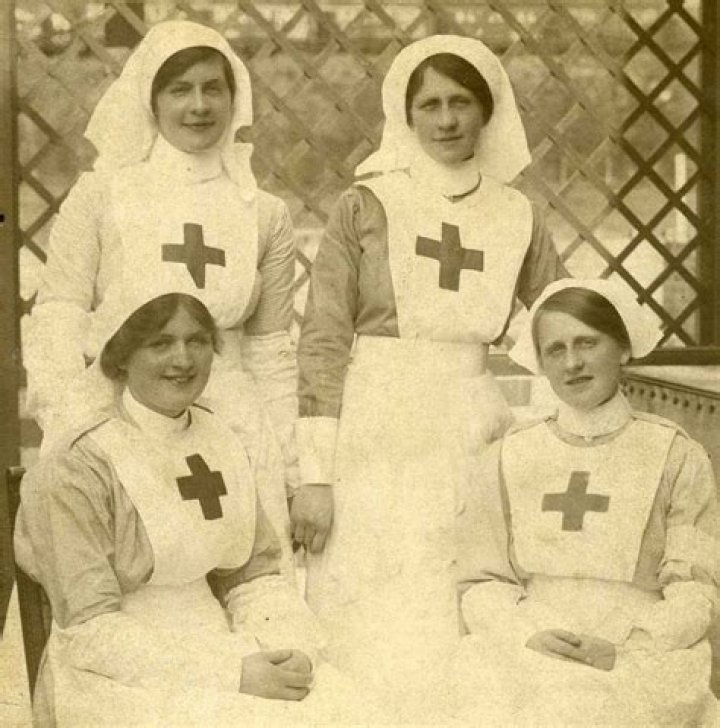 19thCentury Nurses' Fight to Battle Yellow Fever JSTOR Daily