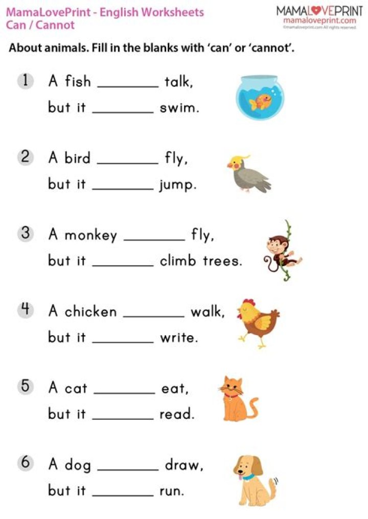 1st Grade English Worksheets PDF for Free Printable Learning