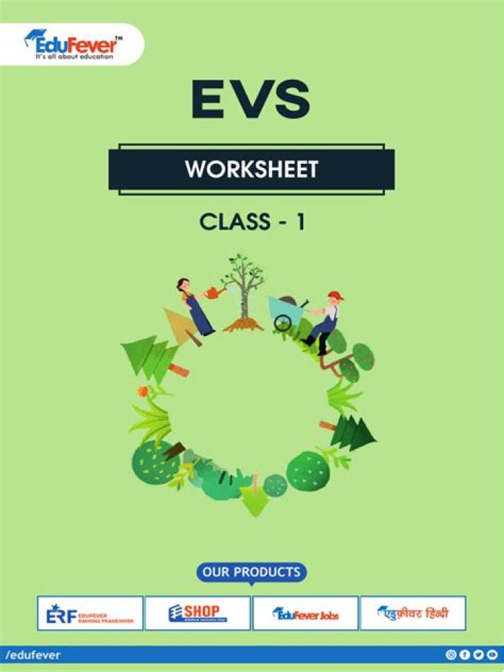 Free 1st Grade EVS Worksheets PDF for Easy Learning