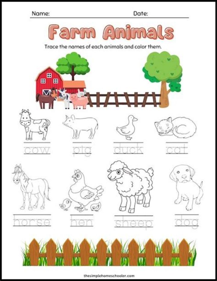 1st Grade Farm Worksheets PDF – Free Printable Activities