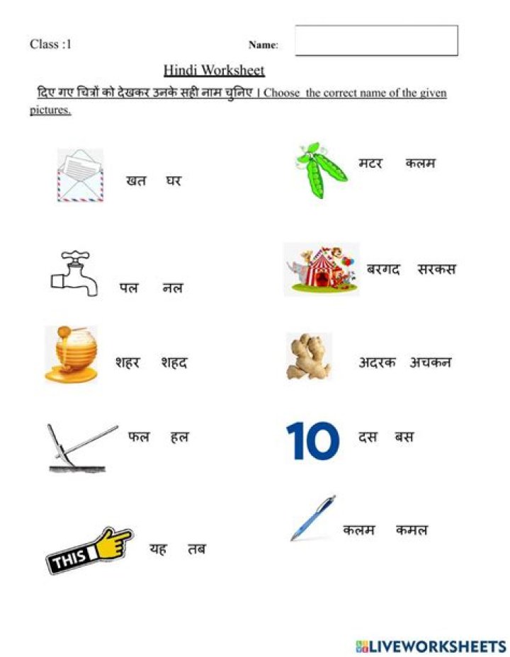 Free 1st Grade Hindi Worksheets PDF – Download Now