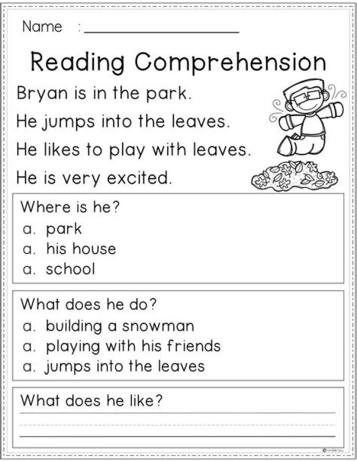 Free 1st Grade Reading Passages with Questions PDF Download