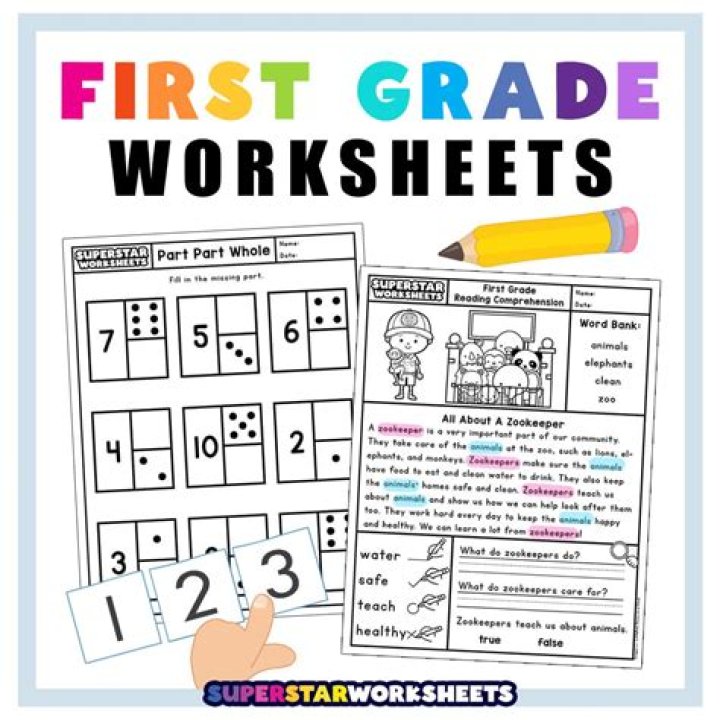 1st Grade Sorting Worksheets PDF – Free Printable Activities