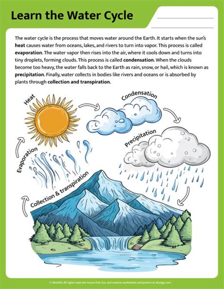 1st Grade Water Cycle Worksheets PDF – Free Printable Activities