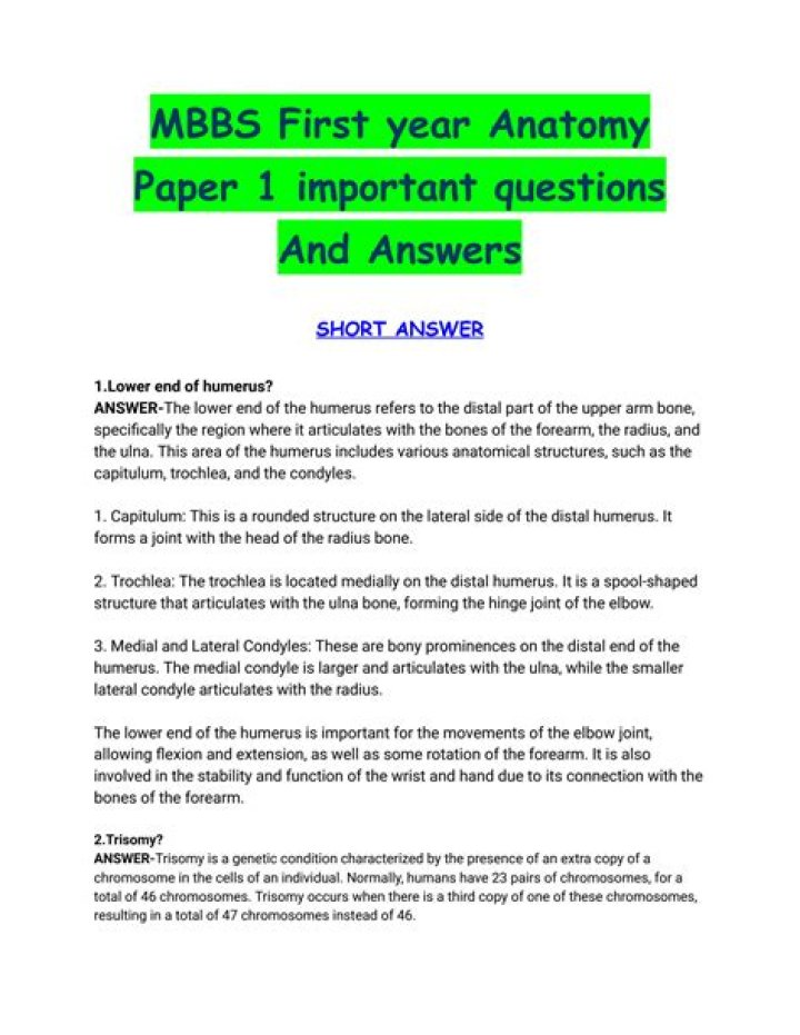 1st Year MBBS Anatomy Question Bank PDF – Instant Download