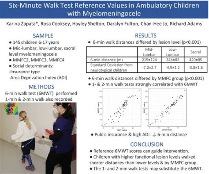 2-Minute Walk Test PDF: Quick Cardio Fitness Assessment
