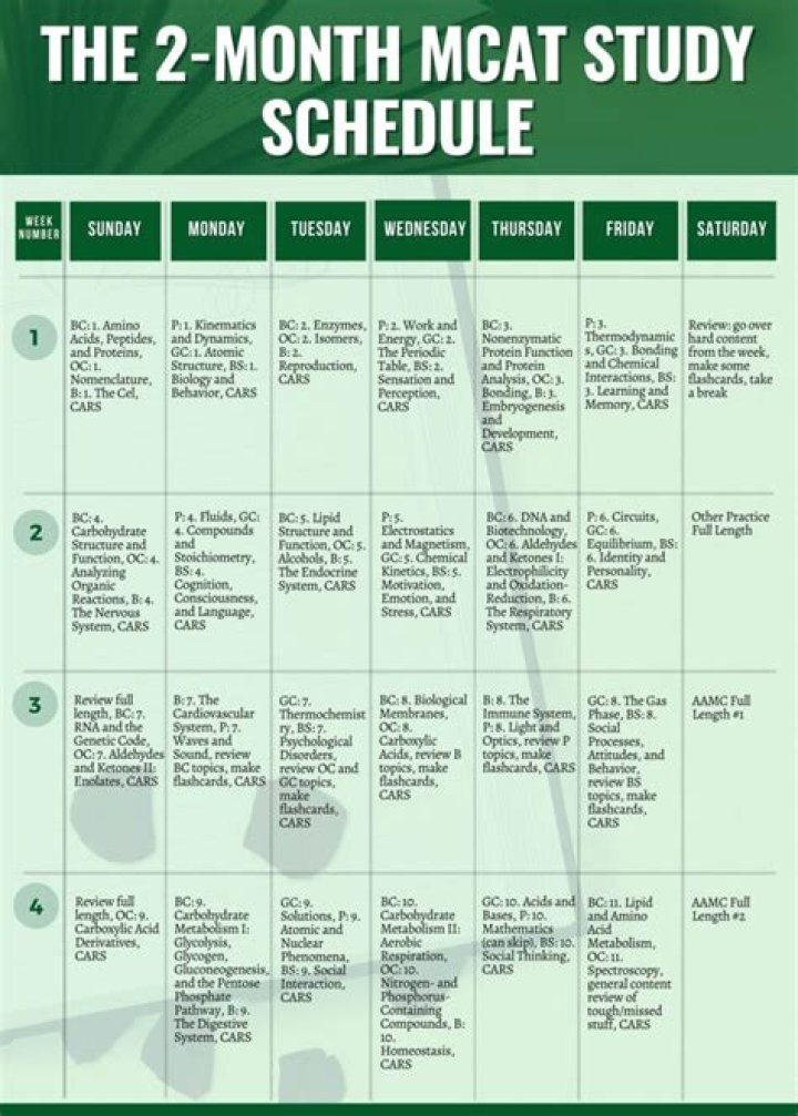 2-Month MCAT Study Plan PDF: Master the Exam in 8 Weeks