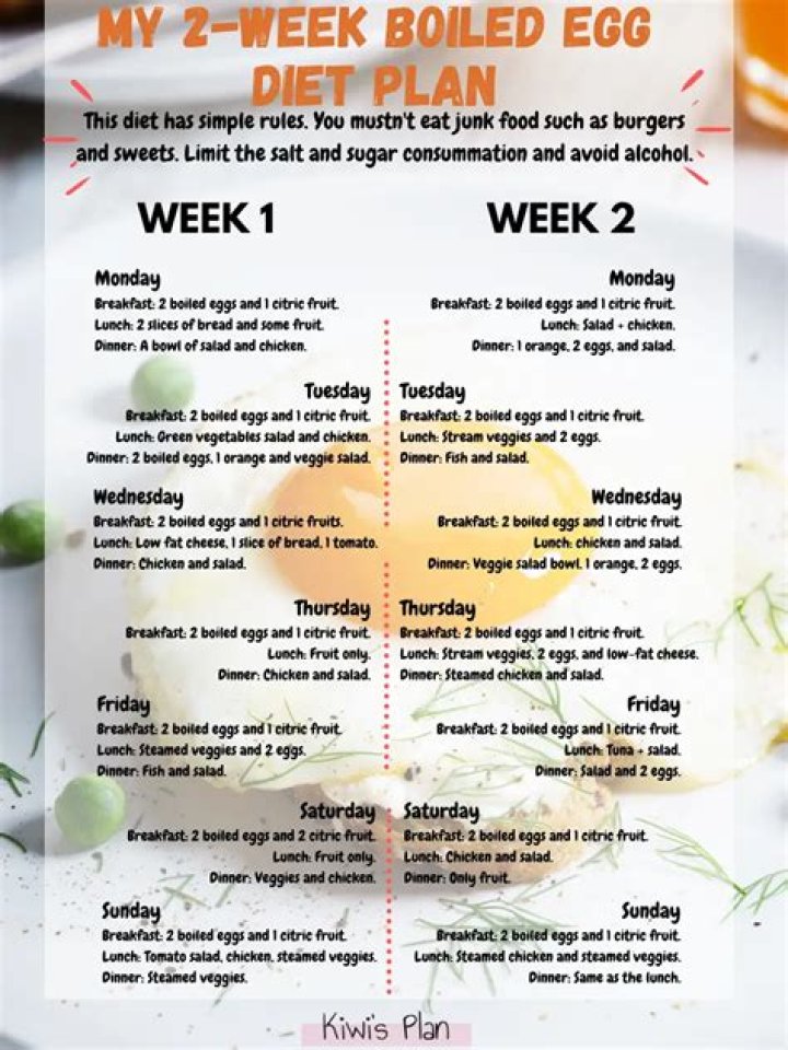 2 Week Egg Diet Plan PDF: Quick Weight Loss & Nutrient Boost