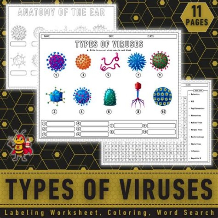 20.1 Viruses Worksheet Answers PDF – Instant Study Help
