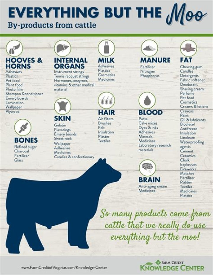 20 Animal By-Products List PDF – Comprehensive Guide