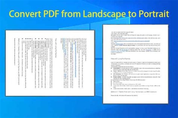 20-Minute Manager PDF File – Quick Leadership Insights & Management Templates
