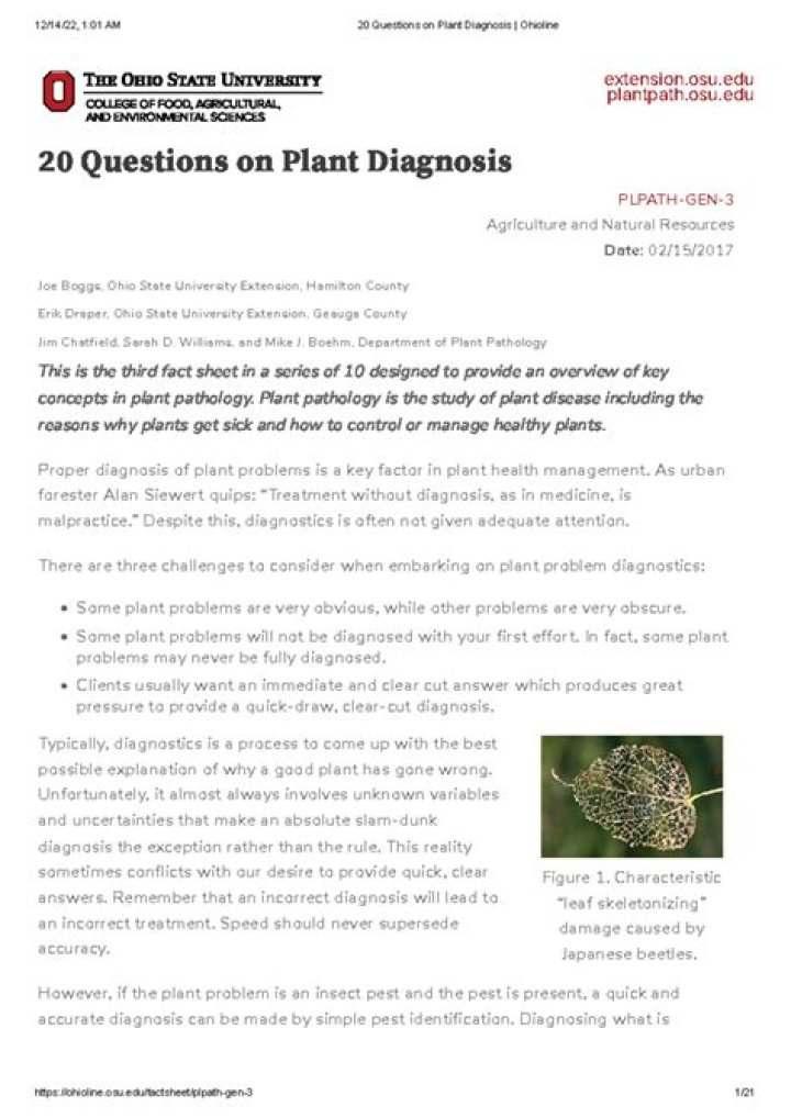 20 Plant Diagnosis Questions & Answers PDF – Quick Plant Health Check