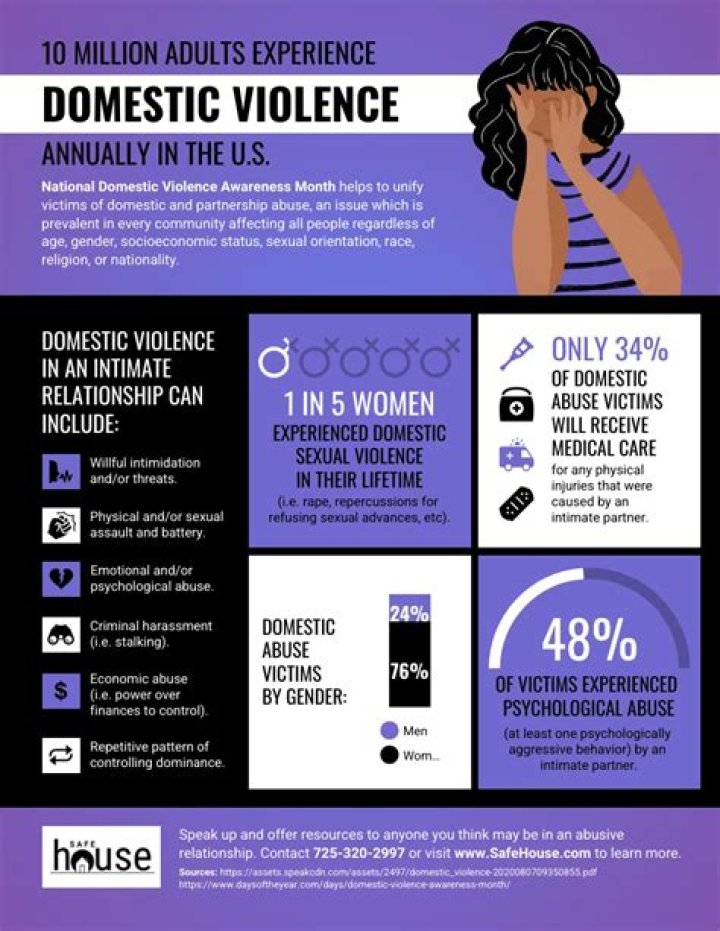 2011 Annual Domestic Violence NYC Fact Sheet – Complete PDF Report