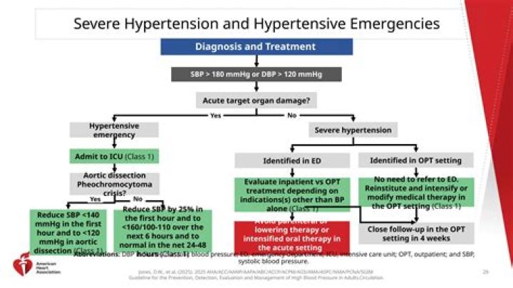 2014 Hypertension Guideline Management Algorithm PDF: Complete Clinical Tool