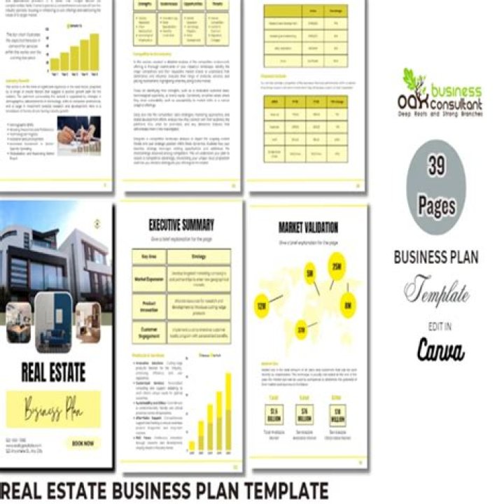 2017 Real Estate Business Plan PDF: Full Download & Templates