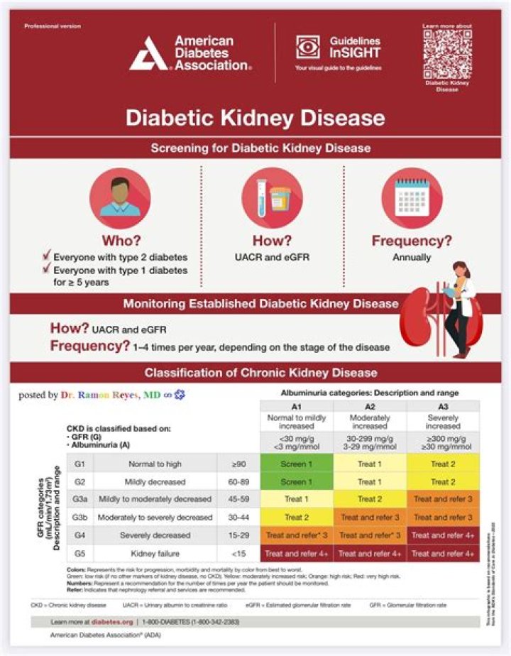 2024 ADA Standards for Chronic Kidney Disease Risk Management PDF
