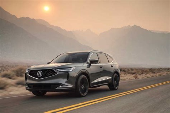 2024 MDX TSB List PDF: Complete 2024 Financial Report & Data List