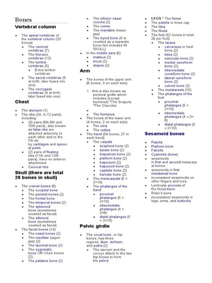 Complete 206 Bones List PDF for Anatomy Study