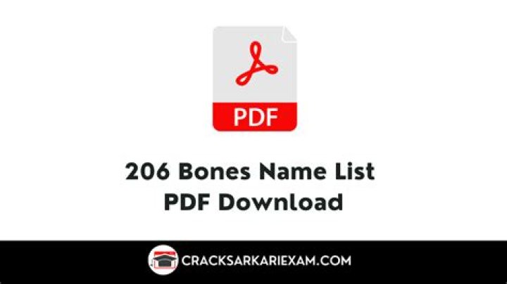206 Bones Name List PDF Download: Complete Anatomy Reference