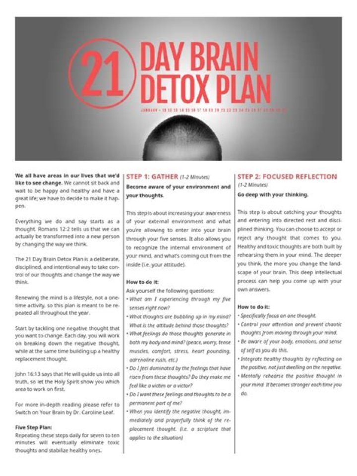 21-Day Brain Detox Plan PDF: Restore Focus & Clarity in Just 21 Days