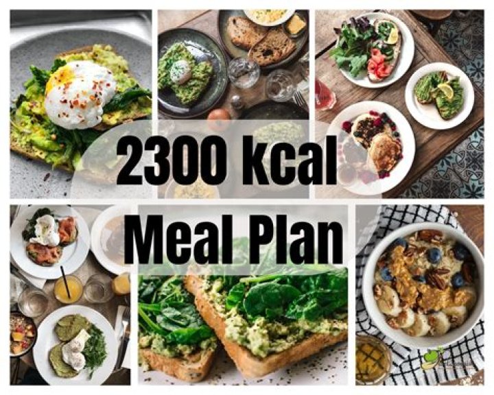 2300-Calorie Muscle-Building Meal Plan PDF – Effective Muscle Gain Guide