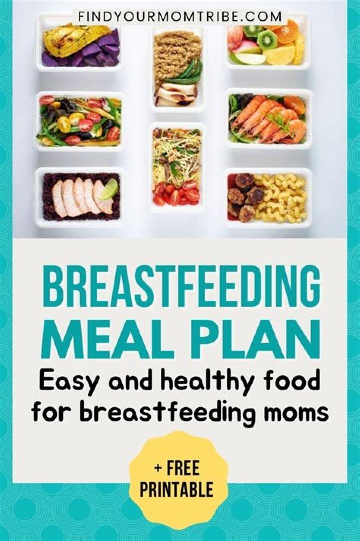 28-Day Breastfeeding Diet Plan Menu PDF – Free Download