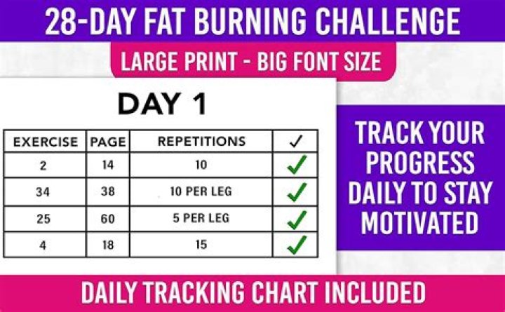 28-Day Fat Torch Plan PDF: Burn Fat Fast with Proven Strategy