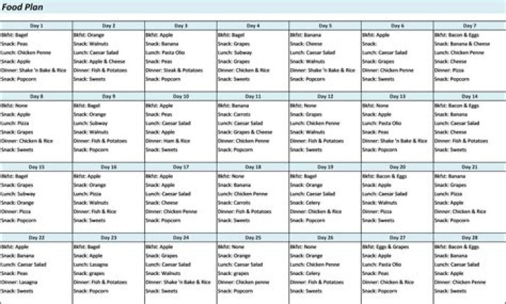 28-Day Proven Diet Plan for Weight Loss – PDF Guide