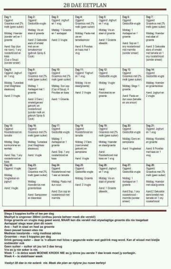 28-Day Weight Loss Diet Plan PDF – Proven Results