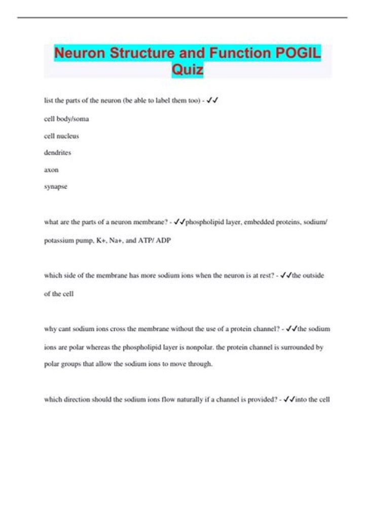 29 Neuron Structure Pogil Answer Key PDF: Step-by-Step Guide
