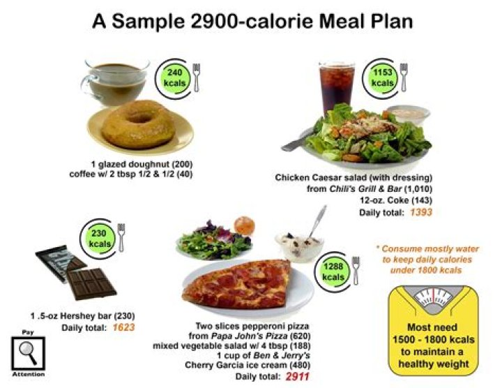 2900 Calorie Meal Plan PDF for Weight Management