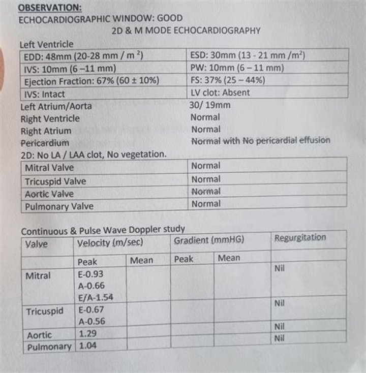 2D Echo Test Normal Report PDF – Instant Access to Clear Results