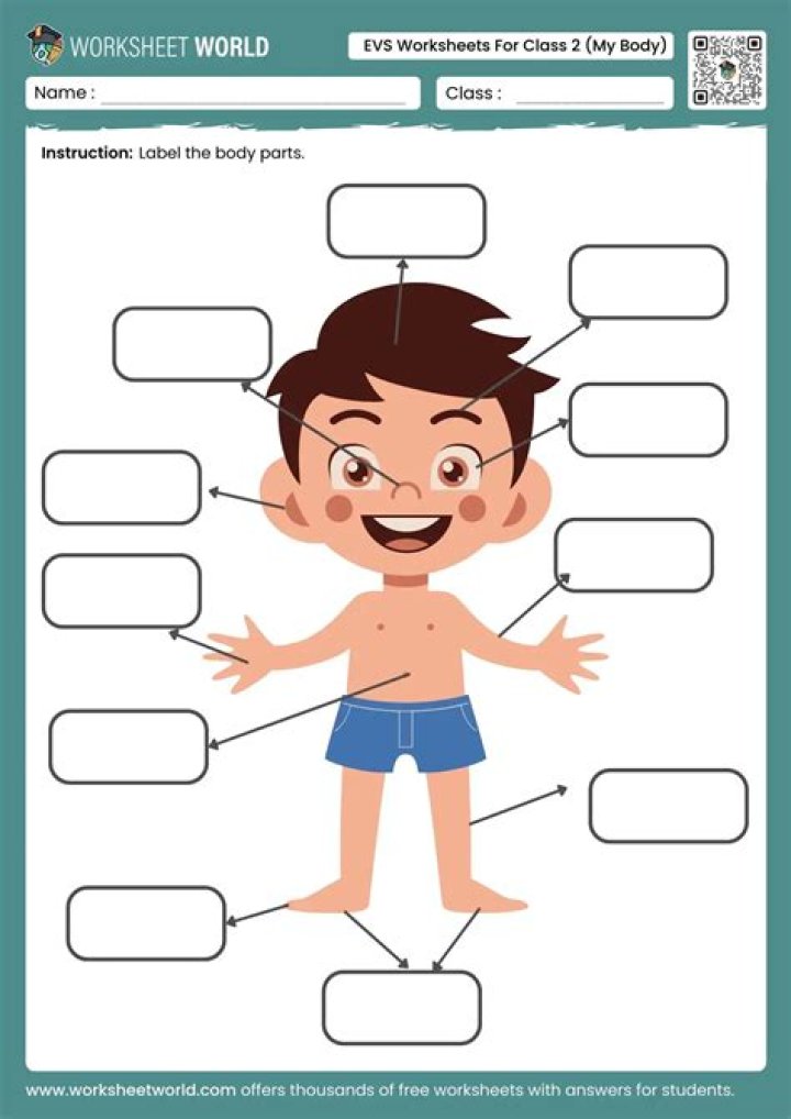 Free 2nd Grade EVS Worksheets PDF for Home & Classroom Use
