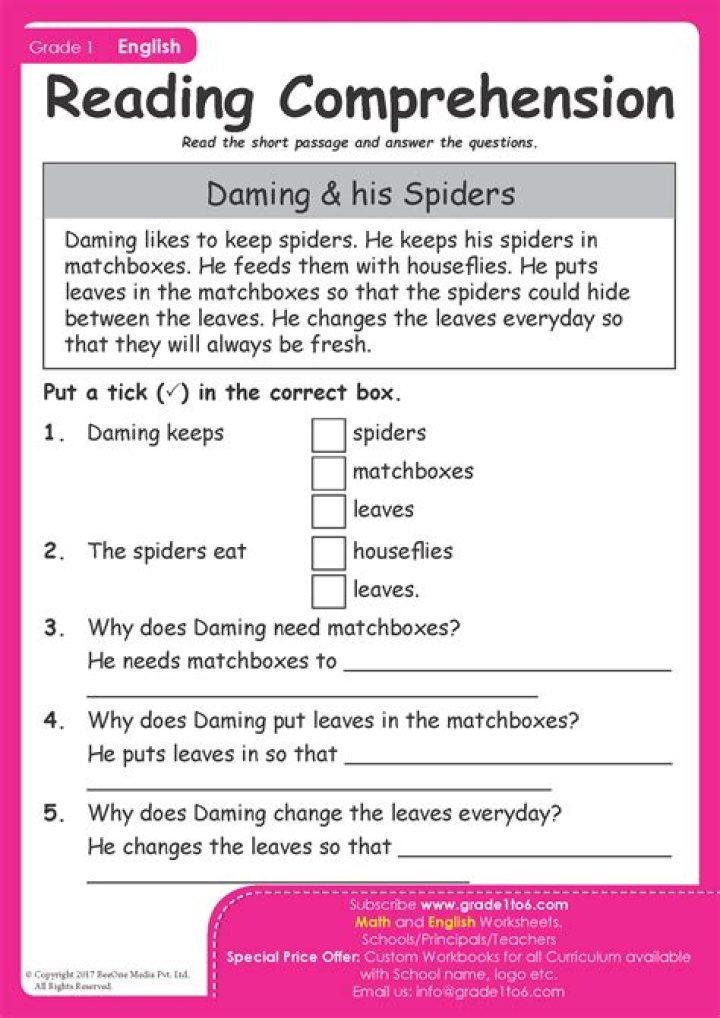 2nd Grade Math Comprehension Worksheets PDF – Instant Download