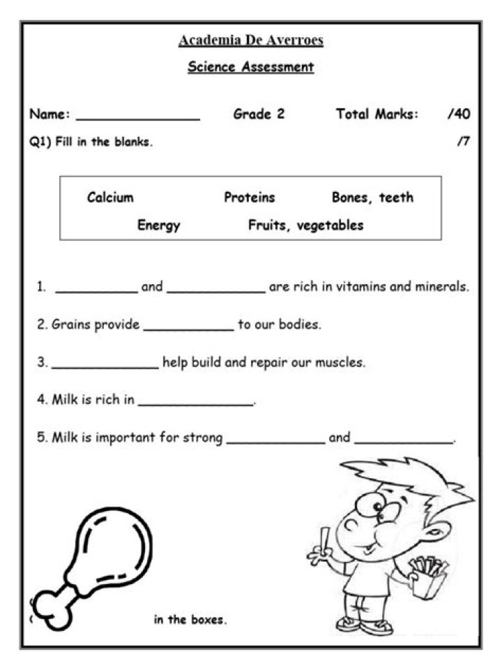 Free 2nd Grade Science Test PDF – Readiness Check & Practice Worksheets